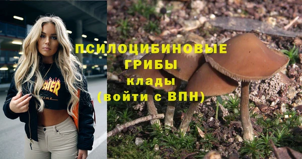кокаин Белокуриха