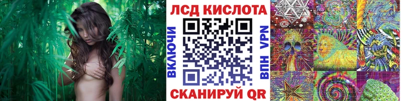 купить закладку  Вяземский  omg вход  Марки NBOMe 1,8мг 