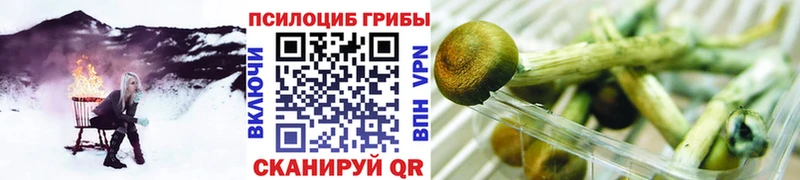 Галлюциногенные грибы мицелий  маркетплейс наркотические препараты  Вяземский 